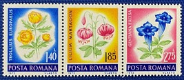 ZAYIX -1973 - Romania - #2402-2404 - MH - Flora - Flowers - £1.17 GBP