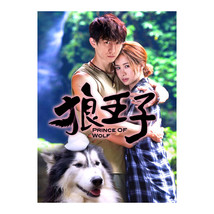 Prince of Wolf Taiwanese Drama - £52.41 GBP