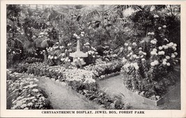 Chrysanthemum Display Jewel Box Forest Park St. Louis MO Postcard PC532 - £11.98 GBP
