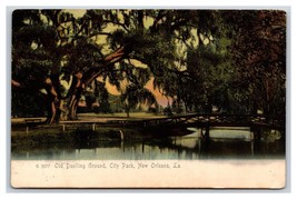 Old Dueling Ground City Park New Orleans Louisiana LA Rotograph UDB Postcard Y6 - £3.07 GBP