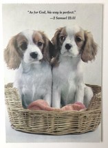 Cavalier King Charles Spaniel Puppy Dogs Vintage PC 2 Samuel 22:31 Bible... - £3.94 GBP