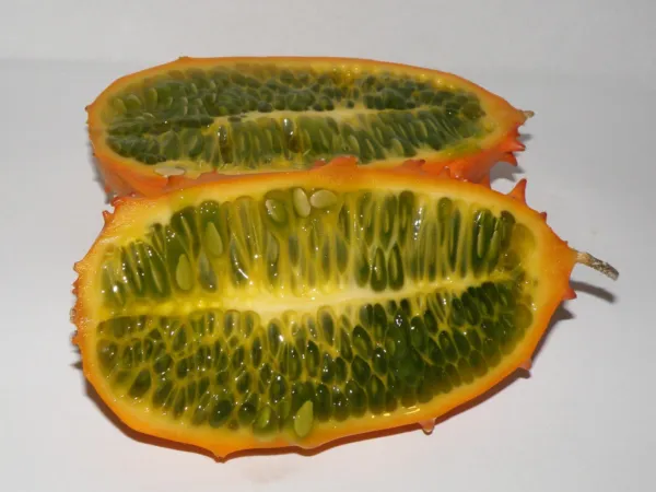 Cucumis Metuliferus Kiwano Horned Melon Seeds USA Seller - £14.08 GBP
