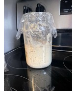 SOURDOUGH STARTER CALIFORNIA GOLD 100+ YR old STRONG/ACTIVE ex sour FRON... - $7.72