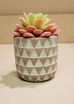 Project 62 Artificial Faux Succulent Cactus Desert Flower In Pot (NEW) - £15.88 GBP