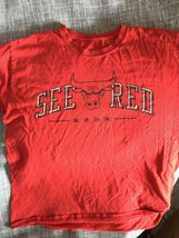 L Xl See Red Chicago Bulls Vtg United Bmo Harris Magellan Well Worn T-Shirt - £56.88 GBP
