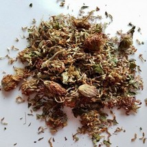 Red  Clover Flower 50g Trifoleum pratense 50gm menopause irregular periods - $10.75