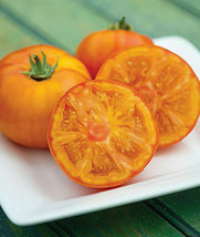 Orange Beefsteak Tomato Seeds | NON-GMO | Heirloom | Fresh Vegetable Seeds - $1.69+