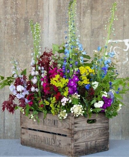 Summer flowers mix seeds - code 31 Item image 3