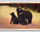 Black Bear and Cubs Yellowstone National Park WY UNP Haynes Linen Postca... - £2.79 GBP