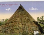 King of the Talamanca Indians in Front of His Palace Postcard Costa Rica... - $17.82