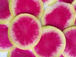 Watermelon Radish Seeds 200 Vegetable Garden NongmoFrom US  - £6.45 GBP