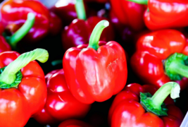 20 Pc Seeds Mini Red Bell Sweet Pepper Plant, Sweet Pepper Vegetable Seeds | RK - £14.12 GBP