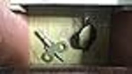 Item image 15