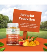 Turmeric Curcumin Immune Support Gummies - Immune Booster Turmeric Gummi... - $377.23 MXN