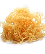 Rastarafi® Whole Leaf Irish Sea Moss 1 Lb | Raw Wildcrafted Superfood 16 Oz - $409.59 MXN