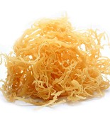 Rastarafi® Whole Leaf Irish Sea Moss 1 Lb | Raw Wildcrafted Superfood 16 Oz - $21.55