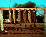 68 Libbre Di Walleye Salmone Da Lago Il Foresta Minnesota Mn Unp Cromo C... - $18.20