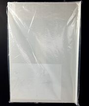 IKEA AURDAL Shoe Shelf White Mesh  22 1/4" x 15 3/4" New - $46.45