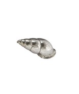 Cast Medium Spiral Shell Ornament - JK18 - £7.96 GBP