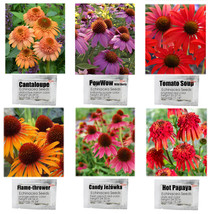 6 Packs Echinacea Purpurea Coneflower Seeds 6 Color Varieties Individual Package - $8.36