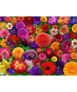 Springbok Blooming Daisy Jigsaw Puzzle 500 Piece Durable Fit Pieces 18&quot; ... - $24.74