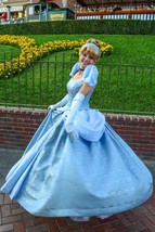 Custom-made Cartoon Cinderella Dress, Cinderella Cosplay Costume - $189.00