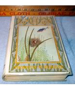 The Thornton Burgess Seashore Book for Children H C with DJ 1929 Illustrated  - $39.95