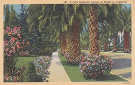 Palm Sheltered Avenue California CA Postcard A27 - £2.36 GBP