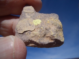 Item image 15