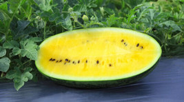 50 Mountain Sweet Yellow Watermelon Seeds For Planting    From US - $10.48