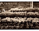 RPPC Potted Plant Department Aalsmeer Flower Auction Netherlands UNP Pos... - $7.97