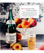 1947 Clicquot Club Ginger Ale Advertisement Soda Pop Pale Dry Beverage D... - €25,75 EUR