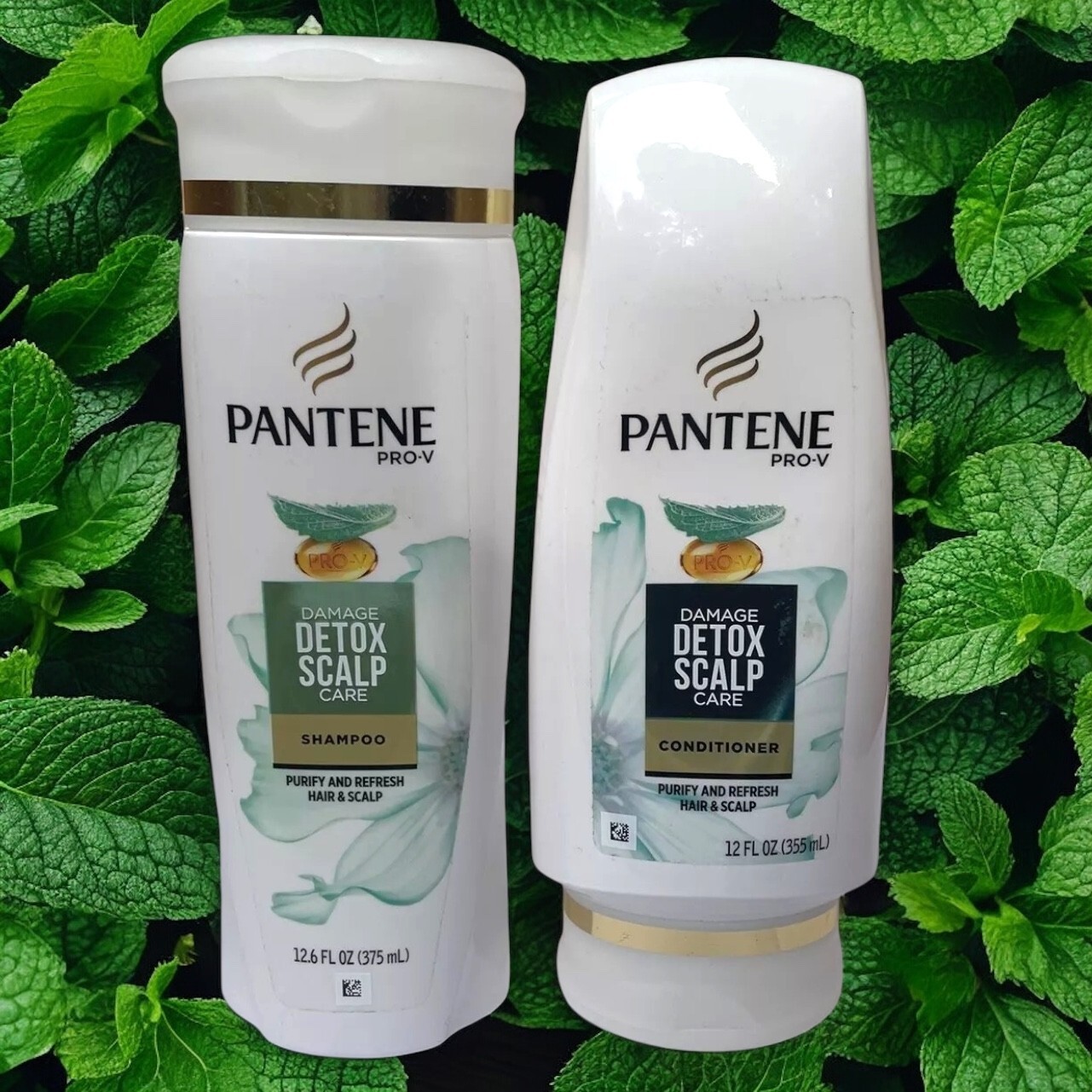 Pantene Pro-V Damage Detox Scalp Care Purify Refresh Shampoo &amp; Condition... - $29.95