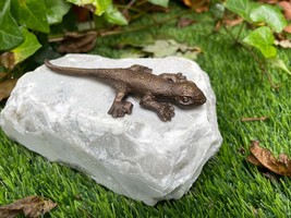 Resting Lizard – Bronze Sculpture. 17x10x6cm - $135.53 CAD