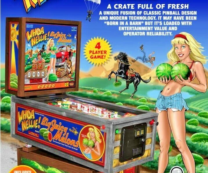 Whoa Nellie Big Juicy Melons Flyer Original Pinball Machine Sexy Lady Risque