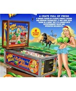 Whoa Nellie Big Juicy Melons Flyer Original Pinball Machine Sexy Lady Ri... - £18.82 GBP