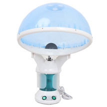 Blue 2 In 1 Ozone Facial Facial Steamer Table Top Face &amp; Hair Hot Ozone ... - $99.99