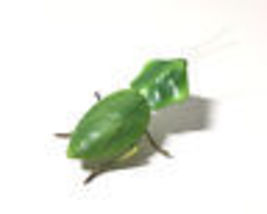 Item image 7