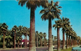 Chrome Postcard AZ I423 Phoenix Palm Lined Central Ave Public Library 1960s Cars - $3.47