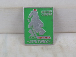 Vintage Soviet Tourist Pin - Norvlisk Ice Sports Palace - Stamped Pin  - $15.00
