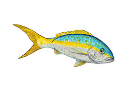 Yellowtail Fish Tropical High Quality Art Decal Truck Boat Cooler Cup Tackle Box - £5.58 GBP+