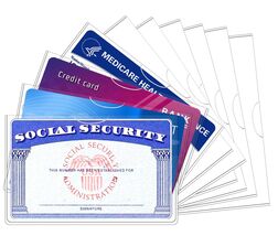 12 Pack Social Security Card Protector Sleeves Medicare Card Protector S... - $10.49 CAD