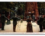 General Fremont Showing Big Trees Circumference Santa Cruz CA DB Postcar... - $14.80