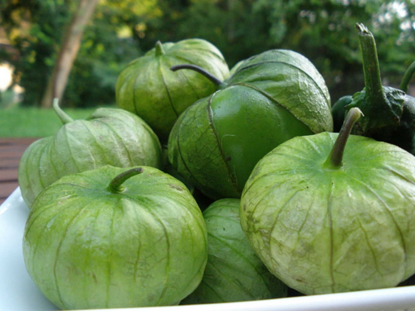 Tomatillo Verde Seeds Variety 100 Seeds Variety New Fresh US Shipping - $13.36