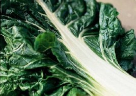 Fordhook Giant Swiss Chard (Perpetual Spinach) Beta Vulgaris Cicla Vegetable 300 - £7.44 GBP
