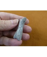 (DP3-537) 1-3/4&quot; polished REAL DINOSAUR bone pendant necklace Utah Dino ... - $20.99