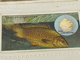 WD HO Wills Cigarettes Tobacco Trading Card 1910 Fish Bait Brown Carp #1... - $19.69