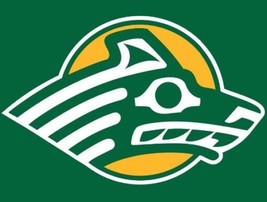 Alaska Anchorage Seawolves Logo Flag 3x5Ft TOP QUALITY - $18.00