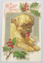 Antique 1910&#39;s Embossed Dog w/ Holly A Merry XMAS Christmas Postcard - £6.45 GBP