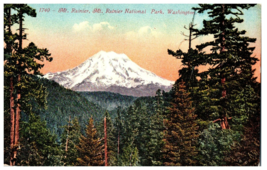 No. 1740 Mt. Rainer National Park, Washington Mitchell Postcard - £9.85 GBP